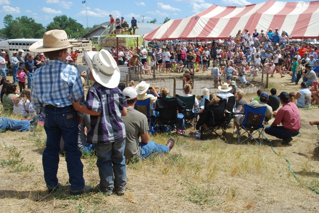 little cowboys at Fall River County Fair