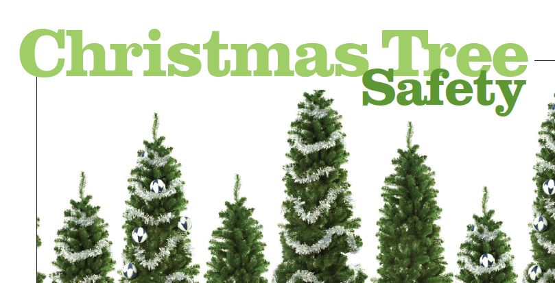 photo - Christmas Tree Safety