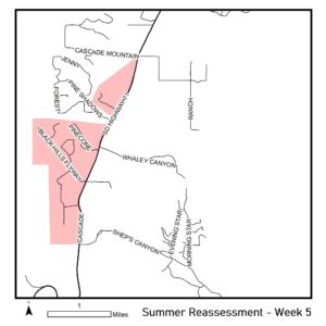 Map of reassessment area for week of August 5, 2024. Black Hills Flyway Subdivision, Silverspur Ranchettes Subdivision, Cascade Springs Subdivision. 