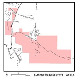 Map of reassessment area for week of August 12th 2024. 