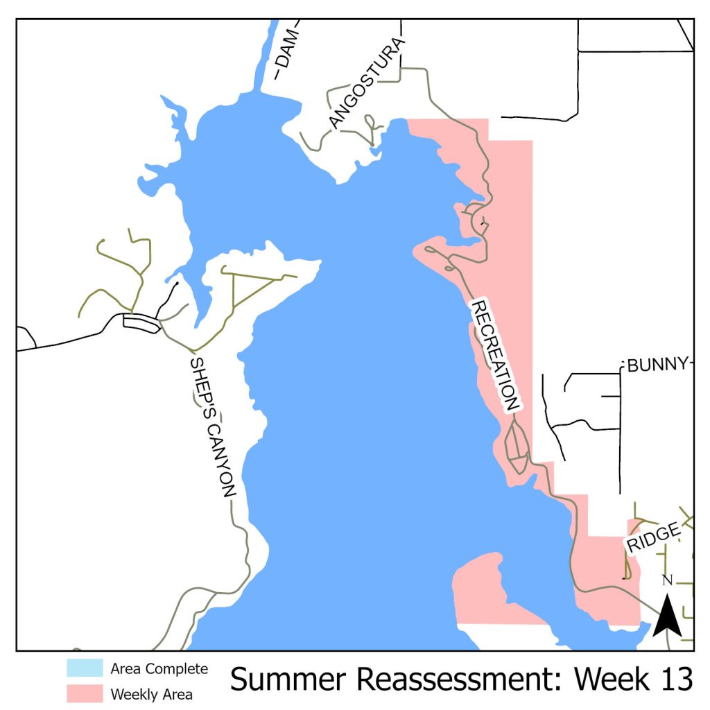 Map of reassessment area next to Angostura for summer 2025.