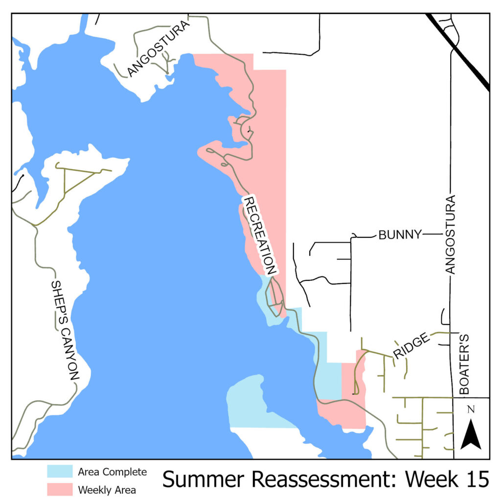 map of reassessment area for the week of August 25th, 2025. Shows area on the east side of Angostura Lake.